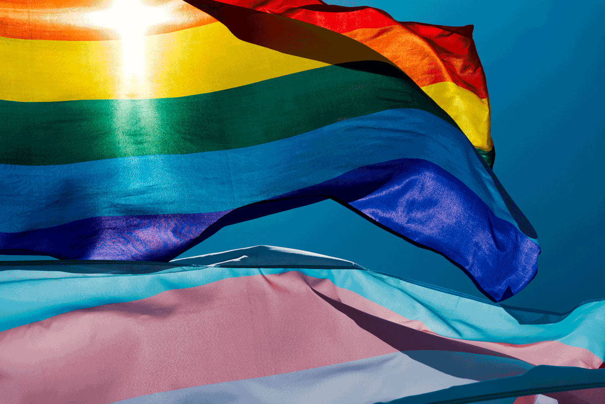 lgbtq trans flags